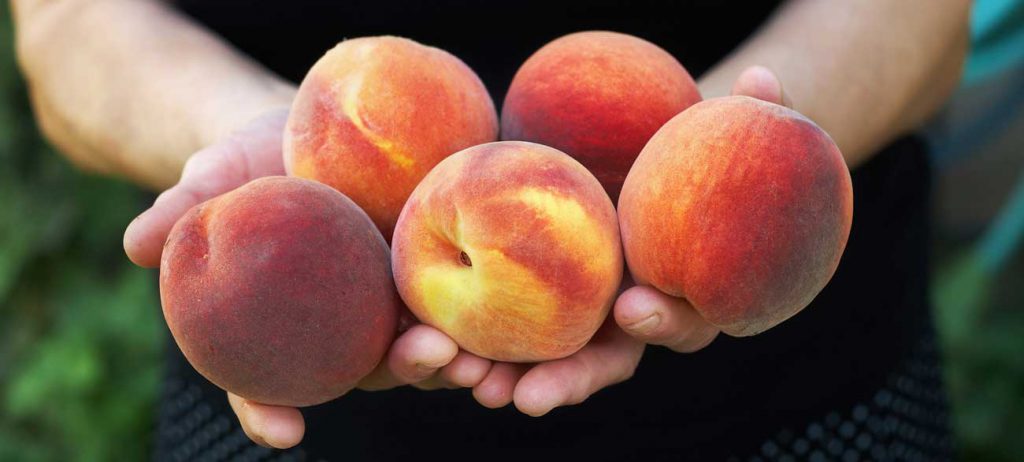 organic-peaches